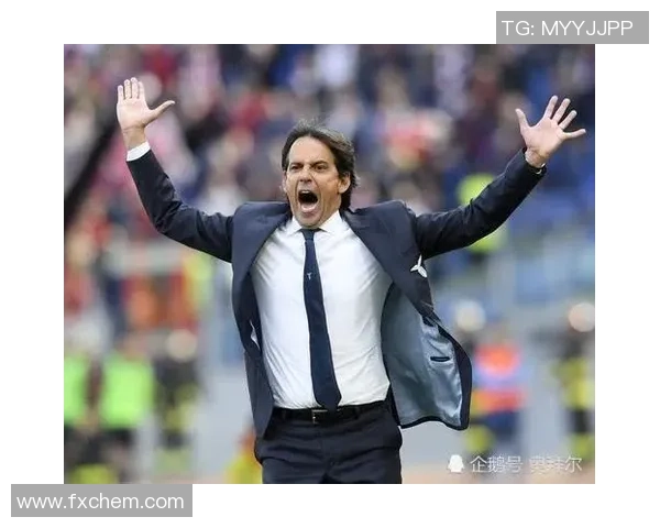 北京乒乓球队灵活性争议引发热议球迷与专家各执己见探讨未来发展